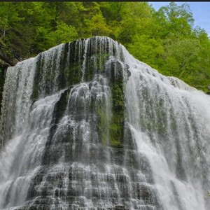 Team Page: Chasing Waterfalls